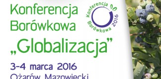 Program IV Konferencji Borówkowej