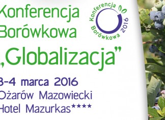 Program IV Konferencji Borówkowej