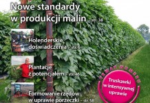 Jagodnik numer styczeń-luty/2016 – już w sprzedaży