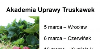 Akademia Uprawy Truskawek – już w marcu w trzech lokalizacjach – potwierdź swój udział