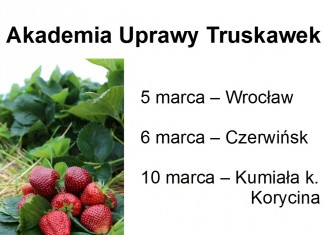 Akademia Uprawy Truskawek – już w marcu w trzech lokalizacjach – potwierdź swój udział