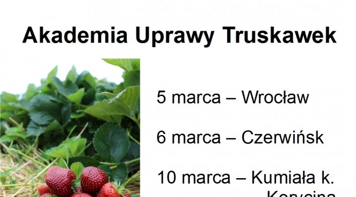 Akademia Uprawy Truskawek – już w marcu w trzech lokalizacjach – potwierdź swój udział