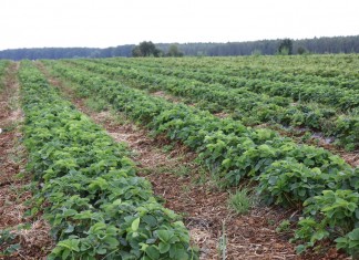 Nowe zasady nabywania ziemi