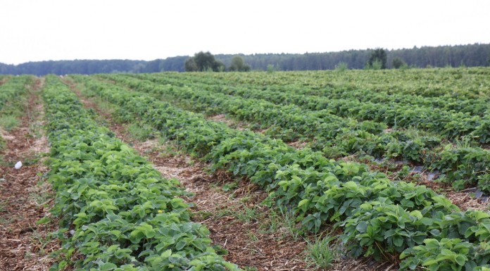 Nowe zasady nabywania ziemi