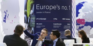 Dziś polska borówka podbija świat. Jutro wymaga dobrej współpracy