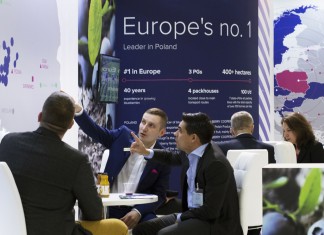 Dziś polska borówka podbija świat. Jutro wymaga dobrej współpracy