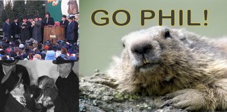 O brandingu na Konferencji Borówkowej 2016