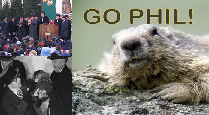 O brandingu na Konferencji Borówkowej 2016