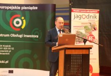 Ochrona i nawożenie upraw jagodowych