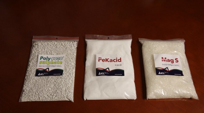 ICL Polska – nowości w ofercie i plany na przyszłość