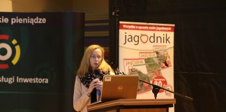 Czerwone i białe porzeczki na deser