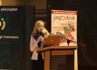 Czerwone i białe porzeczki na deser