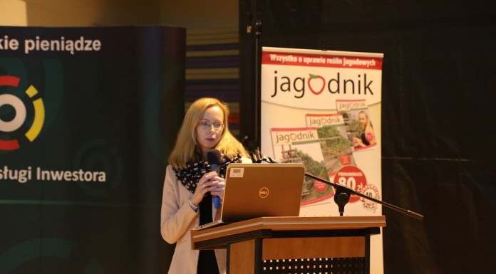 Czarna porzeczka – czy też na deser?