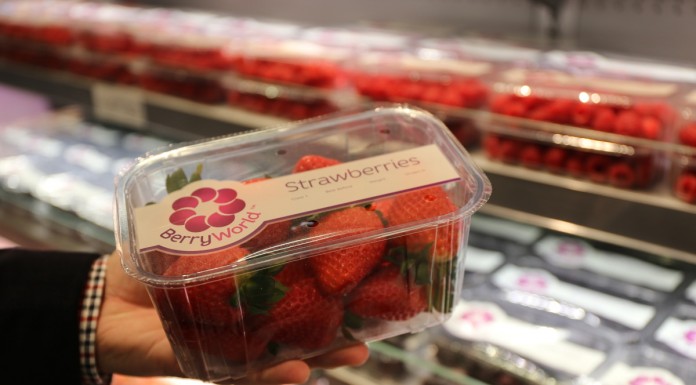 Światowy handel truskawkami