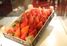 Ożywienie na włoskim rynku truskawek