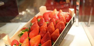 Ożywienie na włoskim rynku truskawek