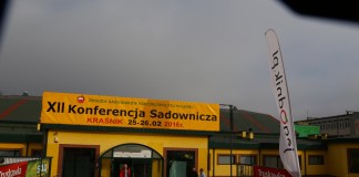 Jagodowe Trendy – Kraśnik 2016