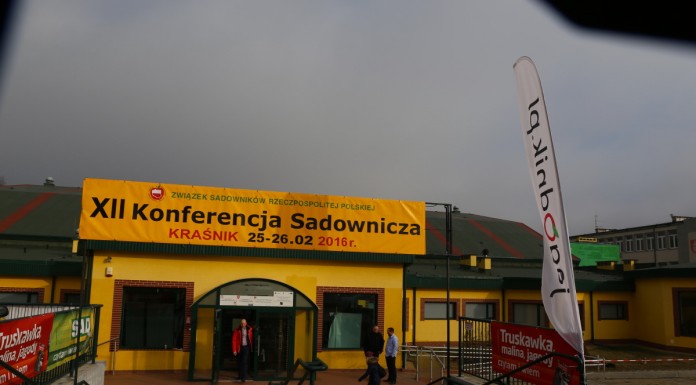 Jagodowe Trendy – Kraśnik 2016