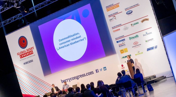 Polska największym producentem borówki w Europie i wzorem współpracy plantatorów