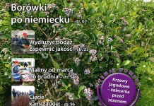 Jagodnik 2/2016 (NUMER SPECJALNY – Krzewy)
