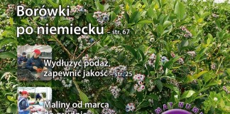 Jagodnik 2/2016 (NUMER SPECJALNY – Krzewy)