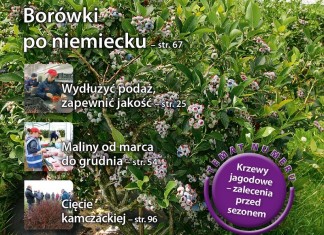 Jagodnik 2/2016 (NUMER SPECJALNY – Krzewy)