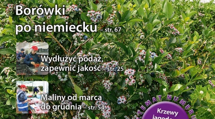 Jagodnik 2/2016 (NUMER SPECJALNY – Krzewy)