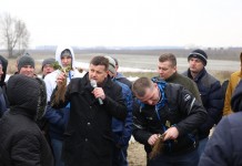 Czy truskawki przemarzły?