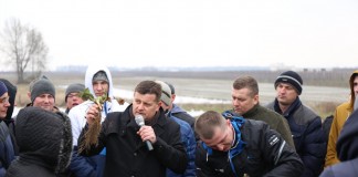 Czy truskawki przemarzły?