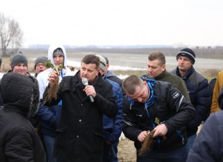 Czy truskawki przemarzły?