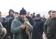 Akademia Uprawy Truskawek w Warce (cz. III) – Pierwsze zabiegi