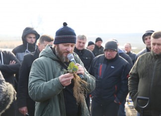 Akademia Uprawy Truskawek w Warce (cz. III) – Pierwsze zabiegi