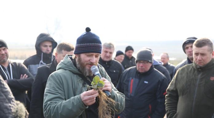 Akademia Uprawy Truskawek w Warce (cz. III) – Pierwsze zabiegi