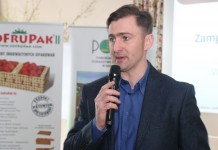 Jak chronić truskawki przed mrozem?