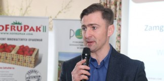 Jak chronić truskawki przed mrozem?