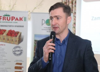 Jak chronić truskawki przed mrozem?
