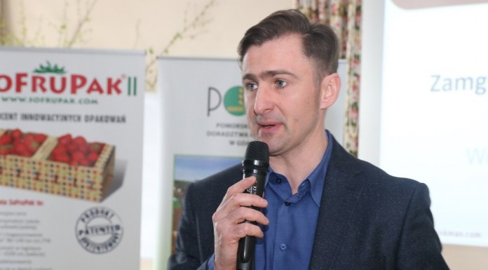 Jak chronić truskawki przed mrozem?