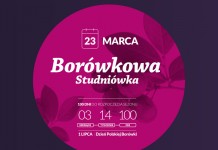 Studniówka, czyli 100 dni do rozpoczęcia borówkowego sezonu