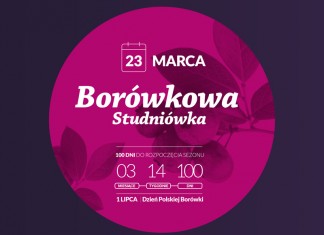 Studniówka, czyli 100 dni do rozpoczęcia borówkowego sezonu