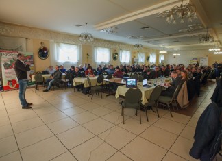 Wydajne plantacje szansą na opłacalną produkcję czarnych porzeczek