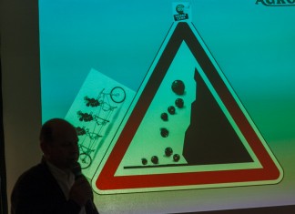 Ratujmy polską produkcję czarnych porzeczek