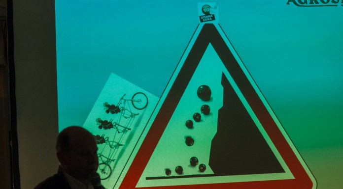 Ratujmy polską produkcję czarnych porzeczek