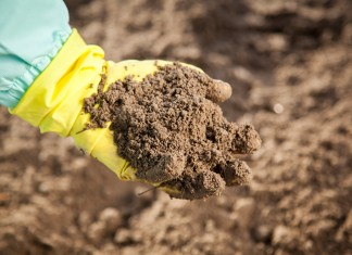 Odkażanie gleby – o czym należy pamiętać, aby było skuteczne