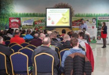 Nawożenie i ochrona truskawek na dobry początek