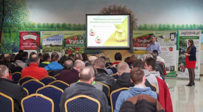 Nawożenie i ochrona truskawek na dobry początek