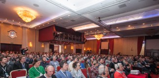 Uprawa borówki amerykańskiej – globalne trendy