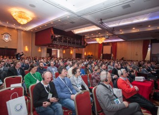 Uprawa borówki amerykańskiej – globalne trendy