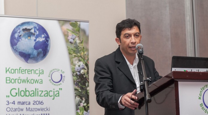 Warunki zbioru i przechowywania borówki