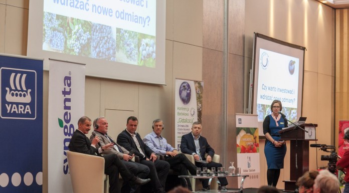 IV Konferencja Borówkowa znowu rekordowa – Fotogaleria