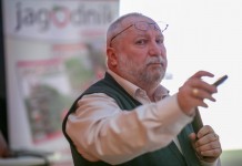 Liście i pierwiastki ważne w uprawie truskawki